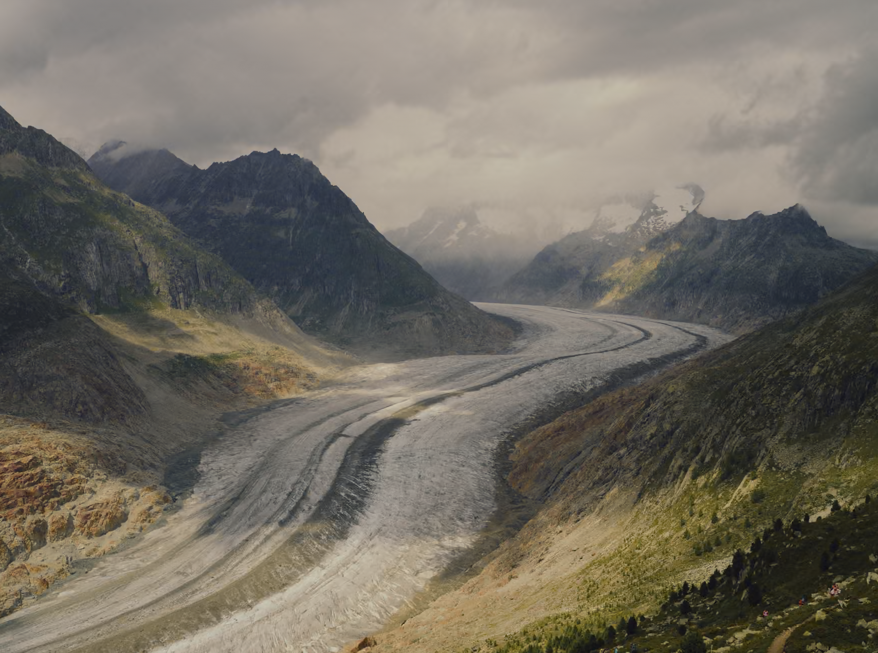 Age of Extinction - The impact of glacier loss on ecosystems
