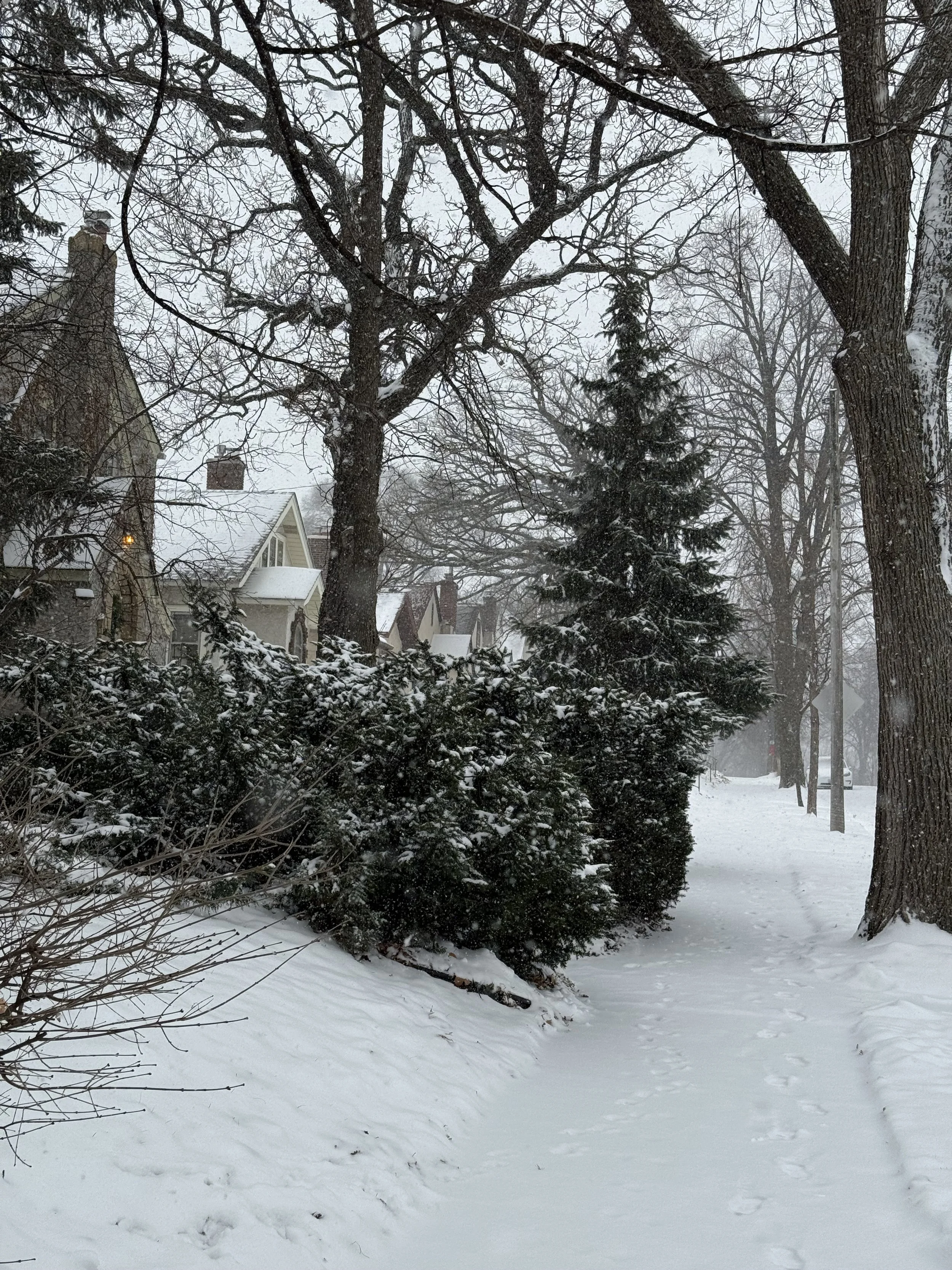 Living in a snow globe