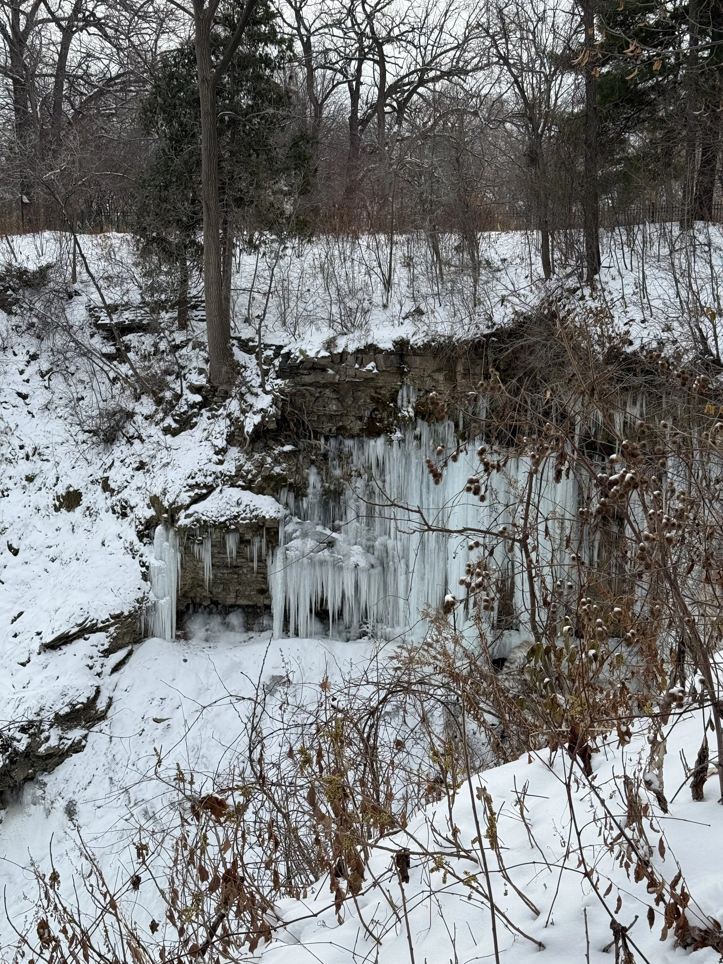 An eagle, a mink &amp; a breakfast burrito
