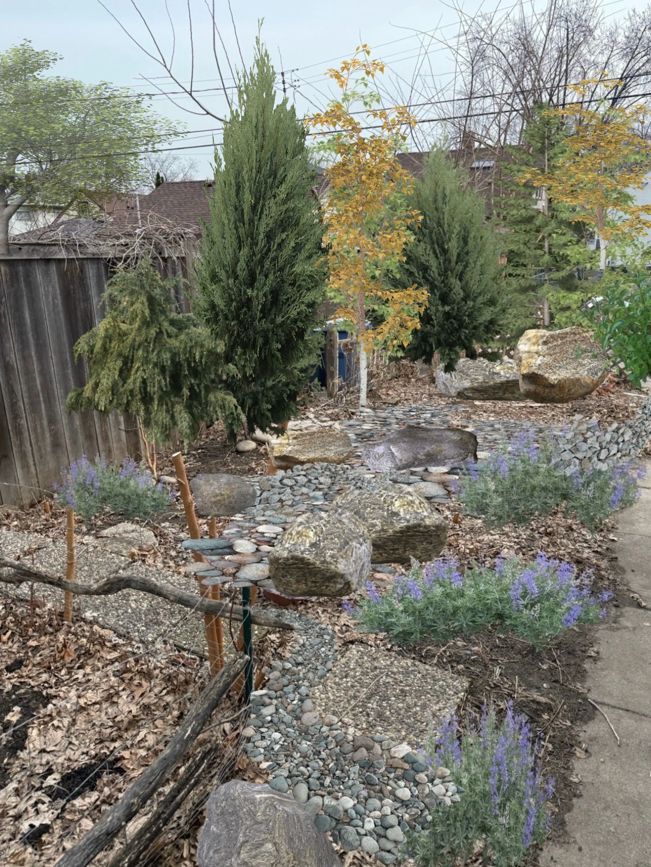 Planning my backyard