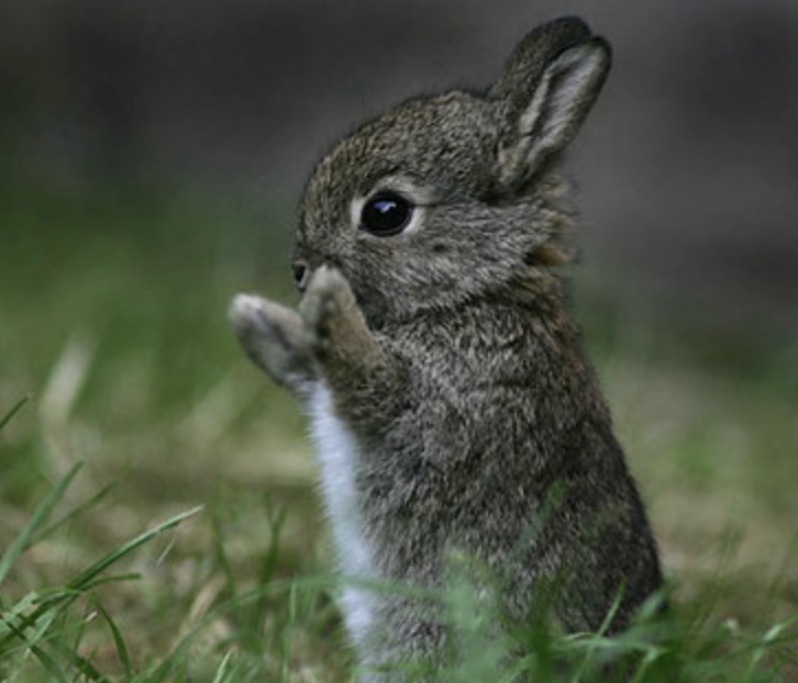 Small &amp; Slow solutions