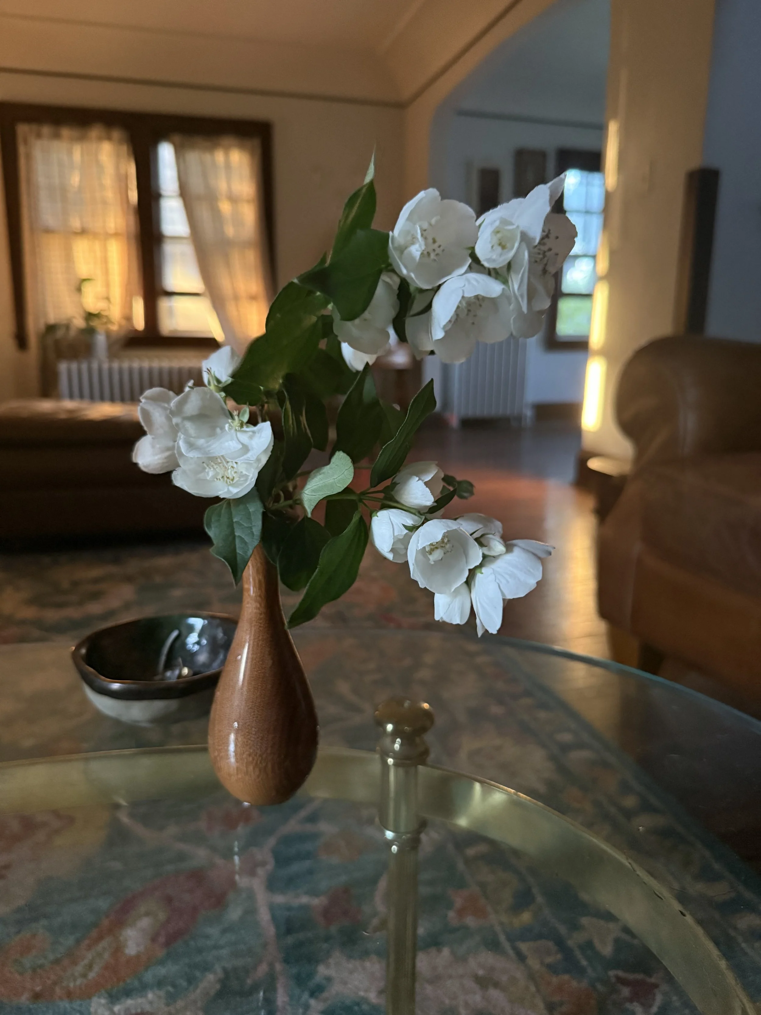 Gardening bits &amp; bobs