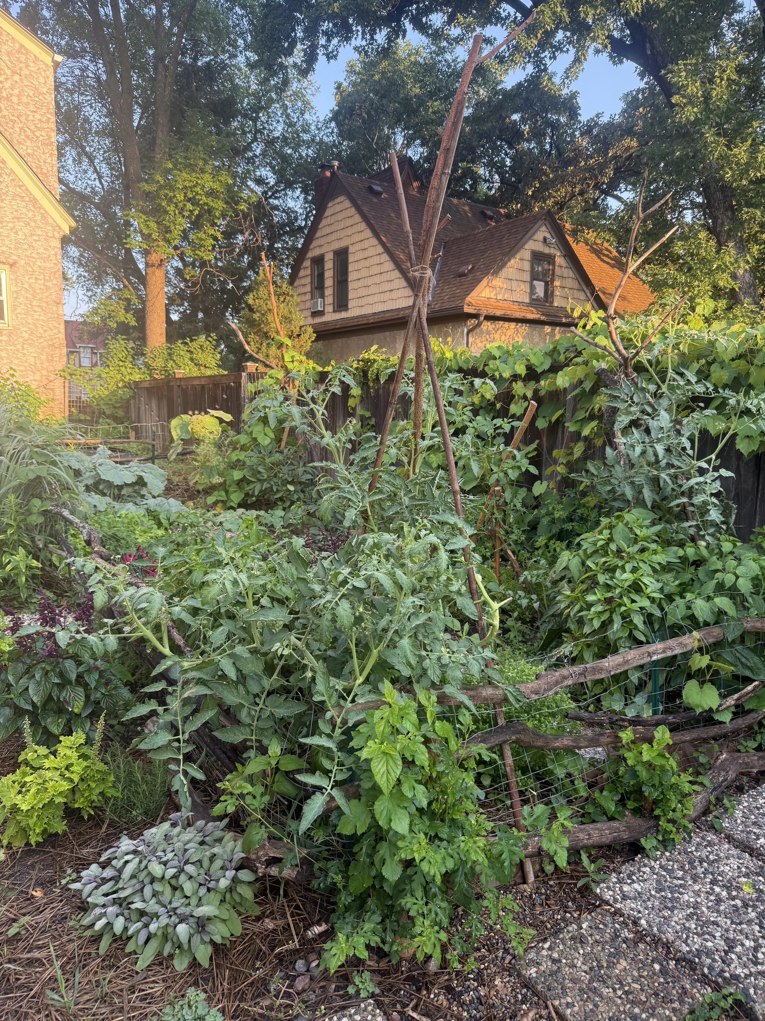 In the Culinary Garden