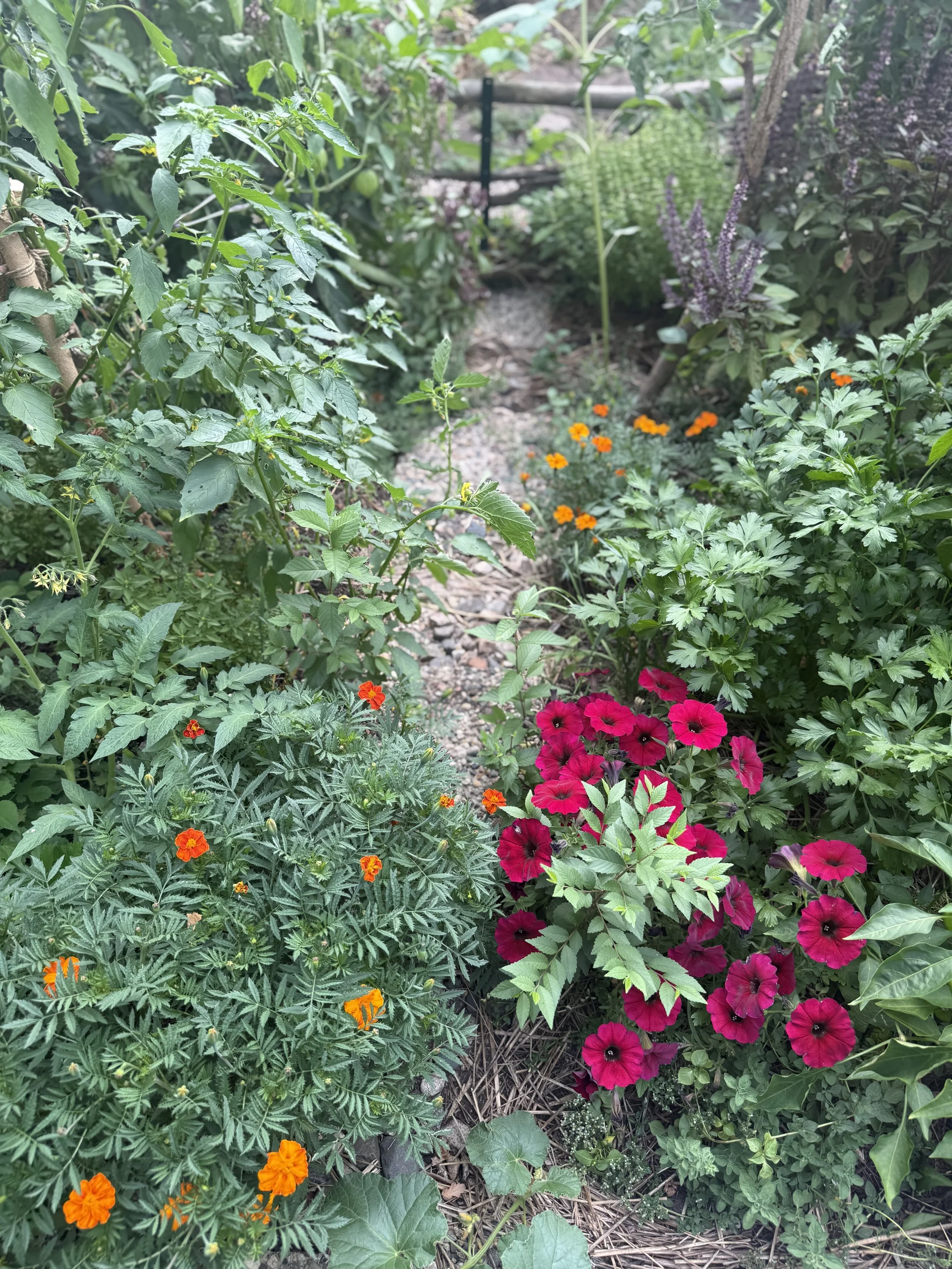 Harbingers & Harvests