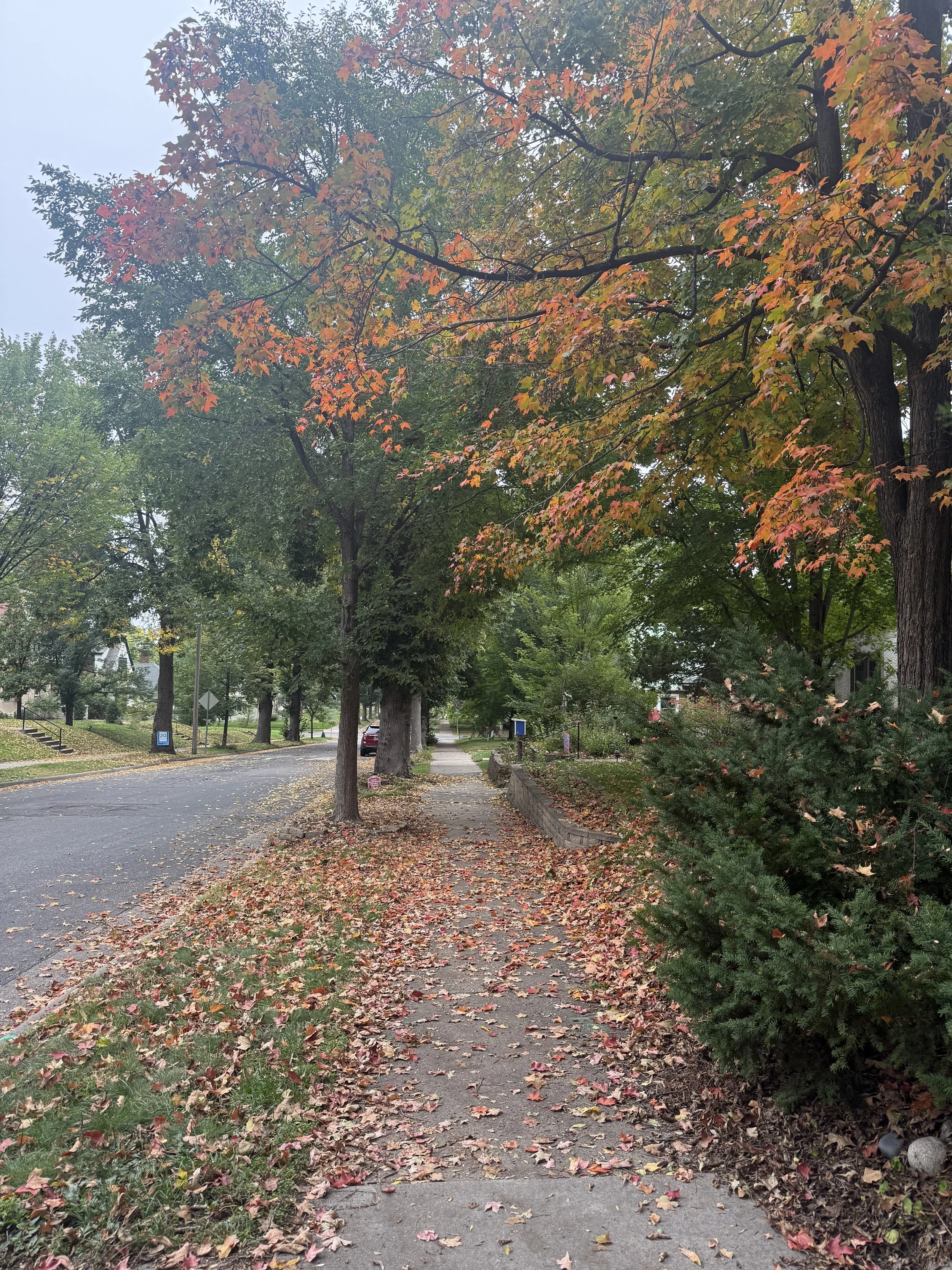 Early Autumn Things