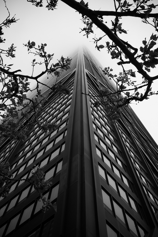 L1006206-Edit-2.jpg