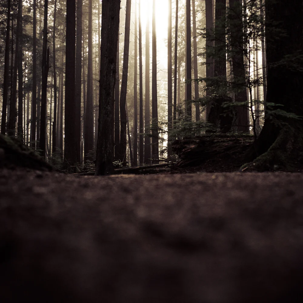 L1027817-Edit.jpg