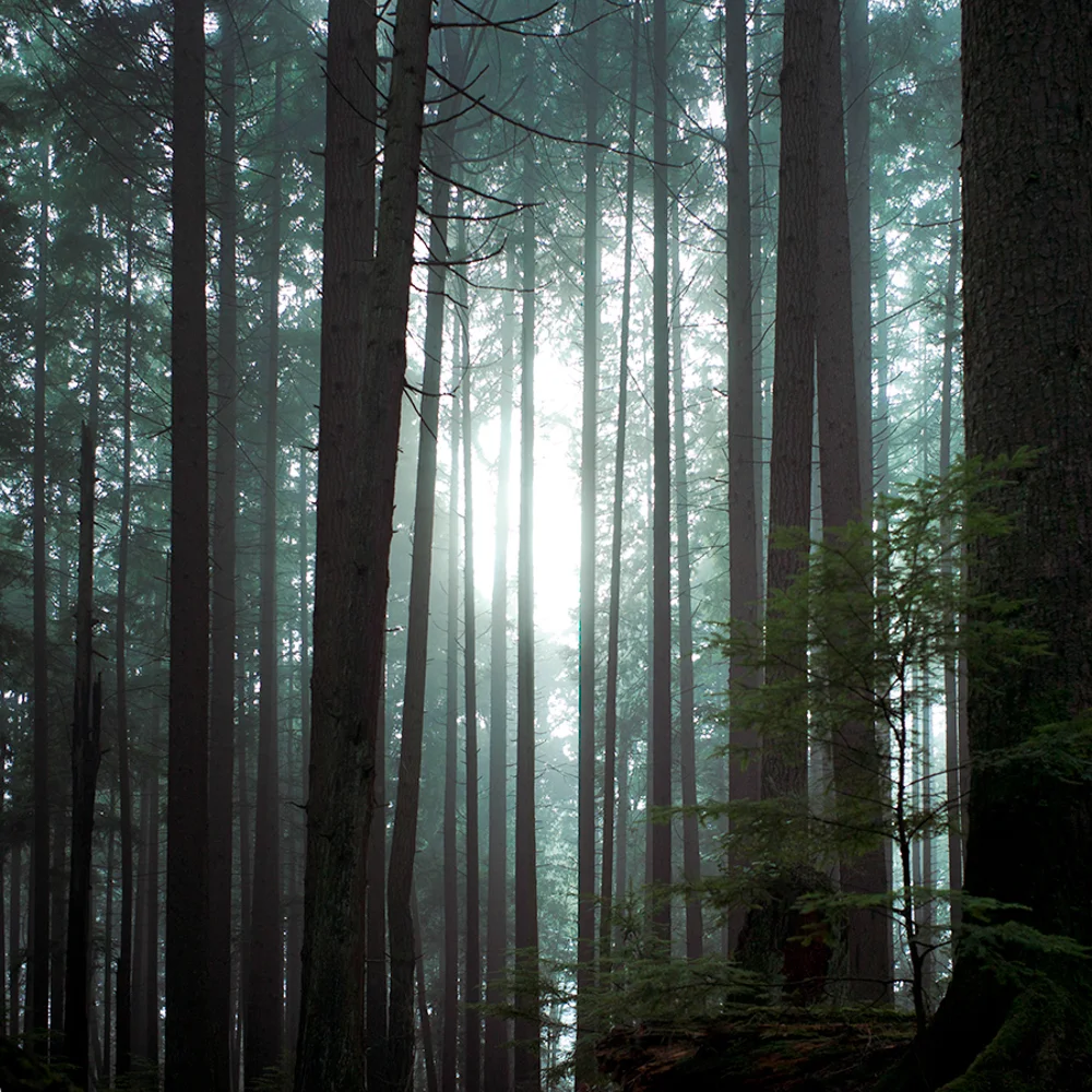 L1027815-Edit.jpg
