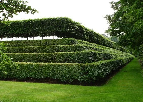 Instant hedge journal.jpg