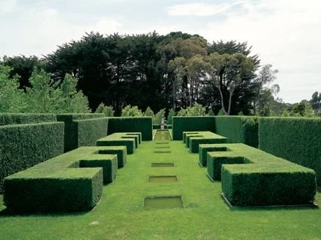 instant hedge journal .jpg
