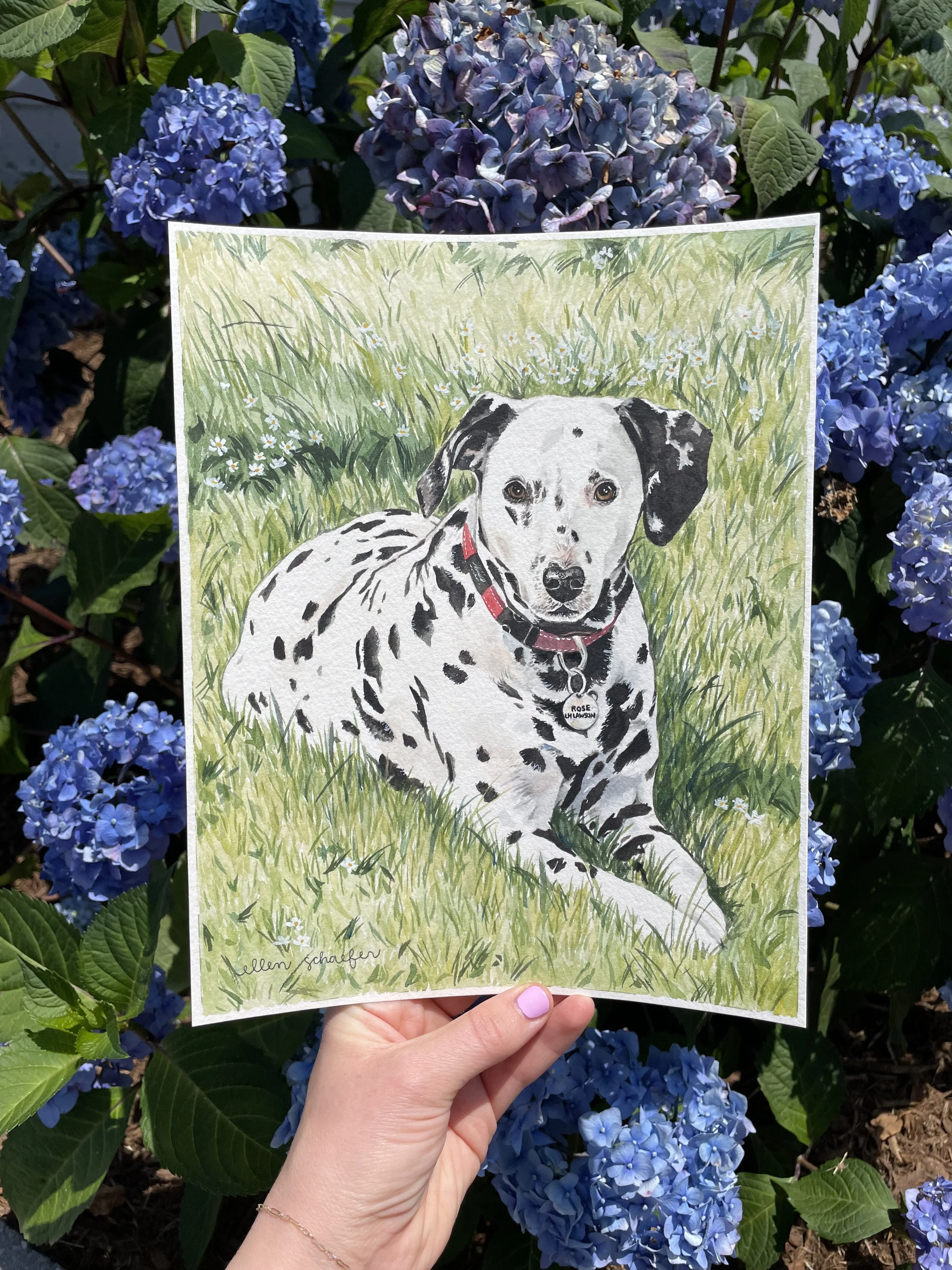 Grass and Flower Background Example.jpg