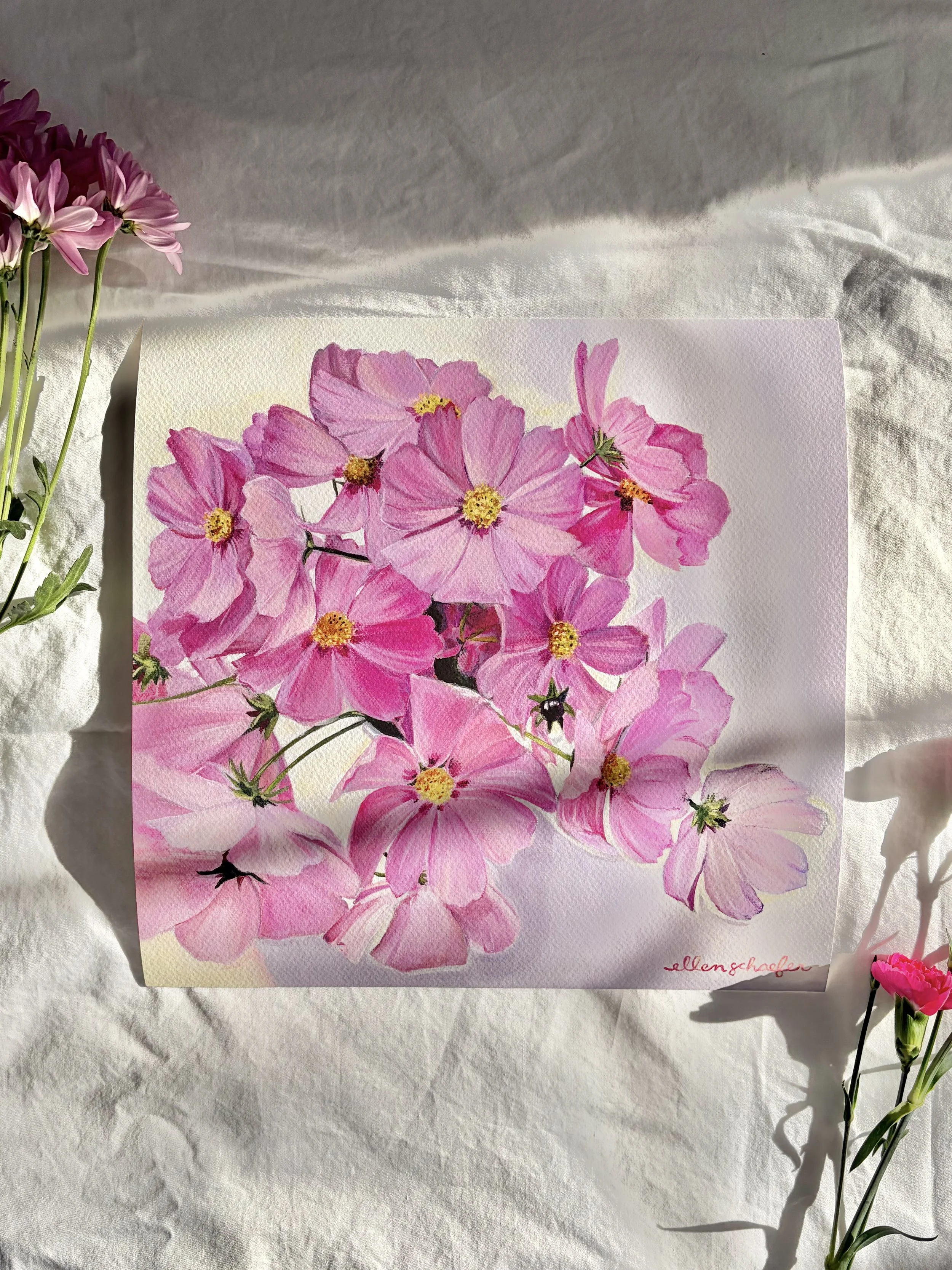 Golden Hour Cosmos Fine Art Print