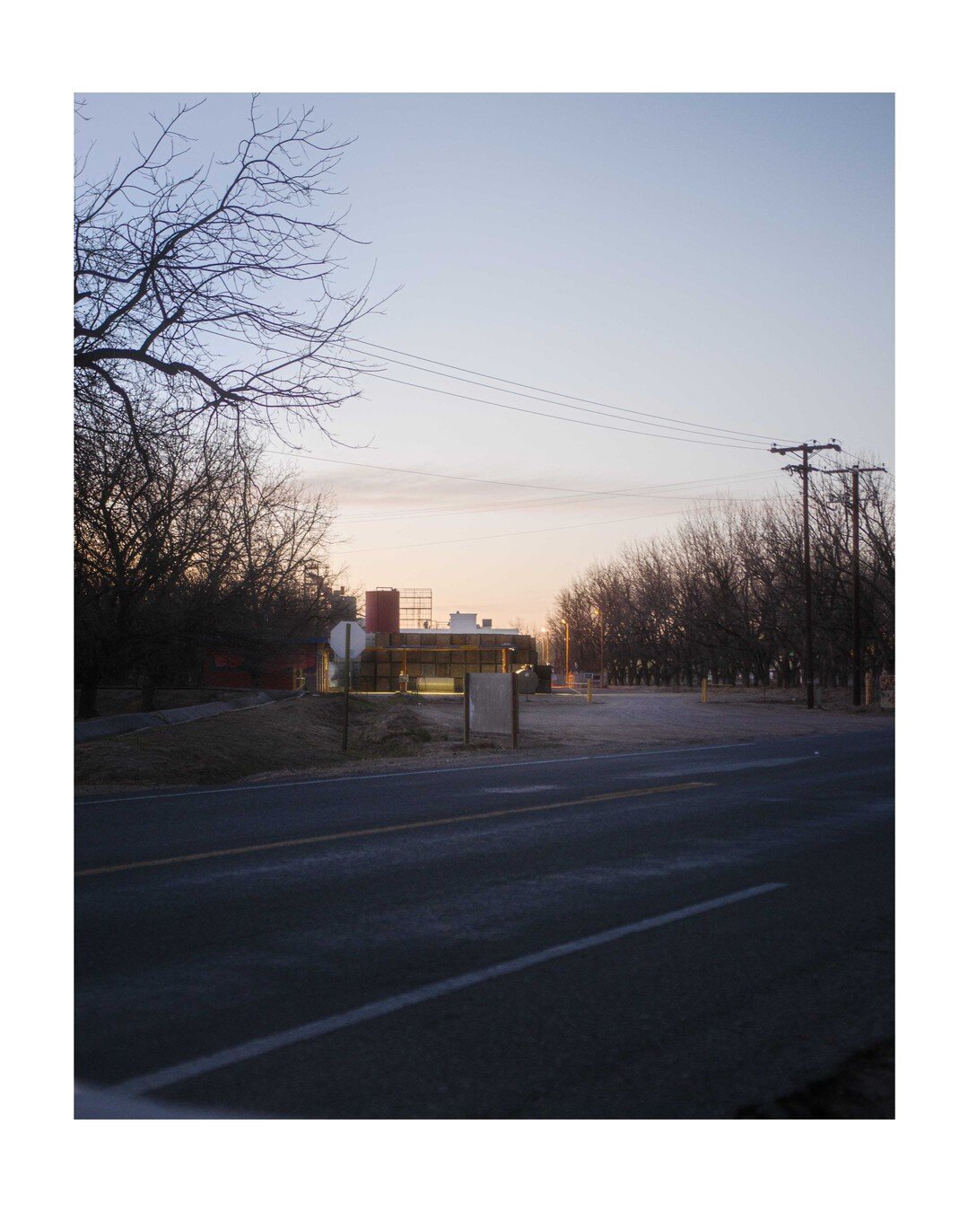 12-21-2020
I ended up at a pecan farm in New Mexico during a drive and the twilight felt so odd. 

The White Border Series is a series of unedited or very lightly edited photos that feel like re-discovered forgotten photos.

#WhiteBorderSeries #white