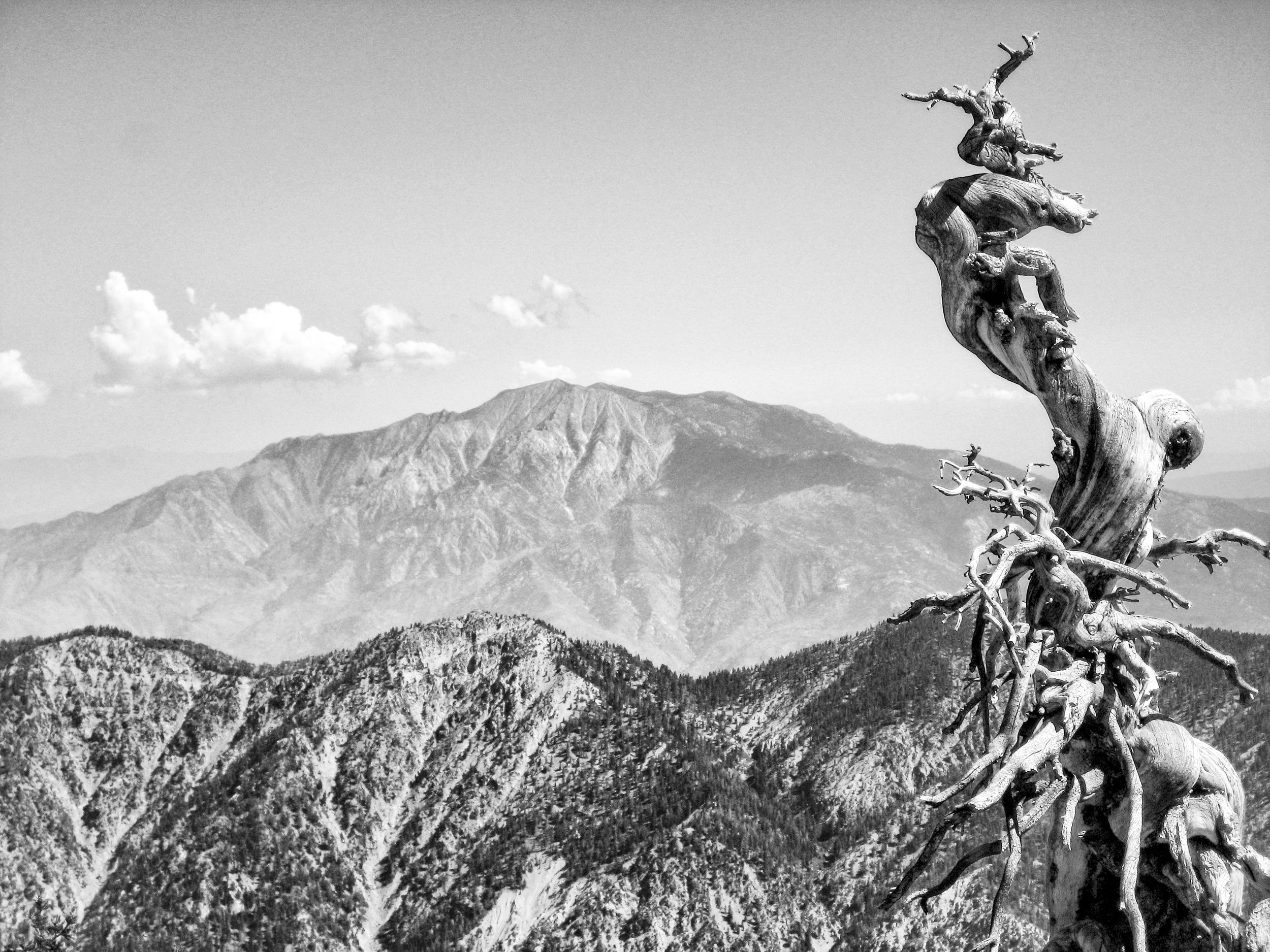 In Whom Shall We Trust?  part two