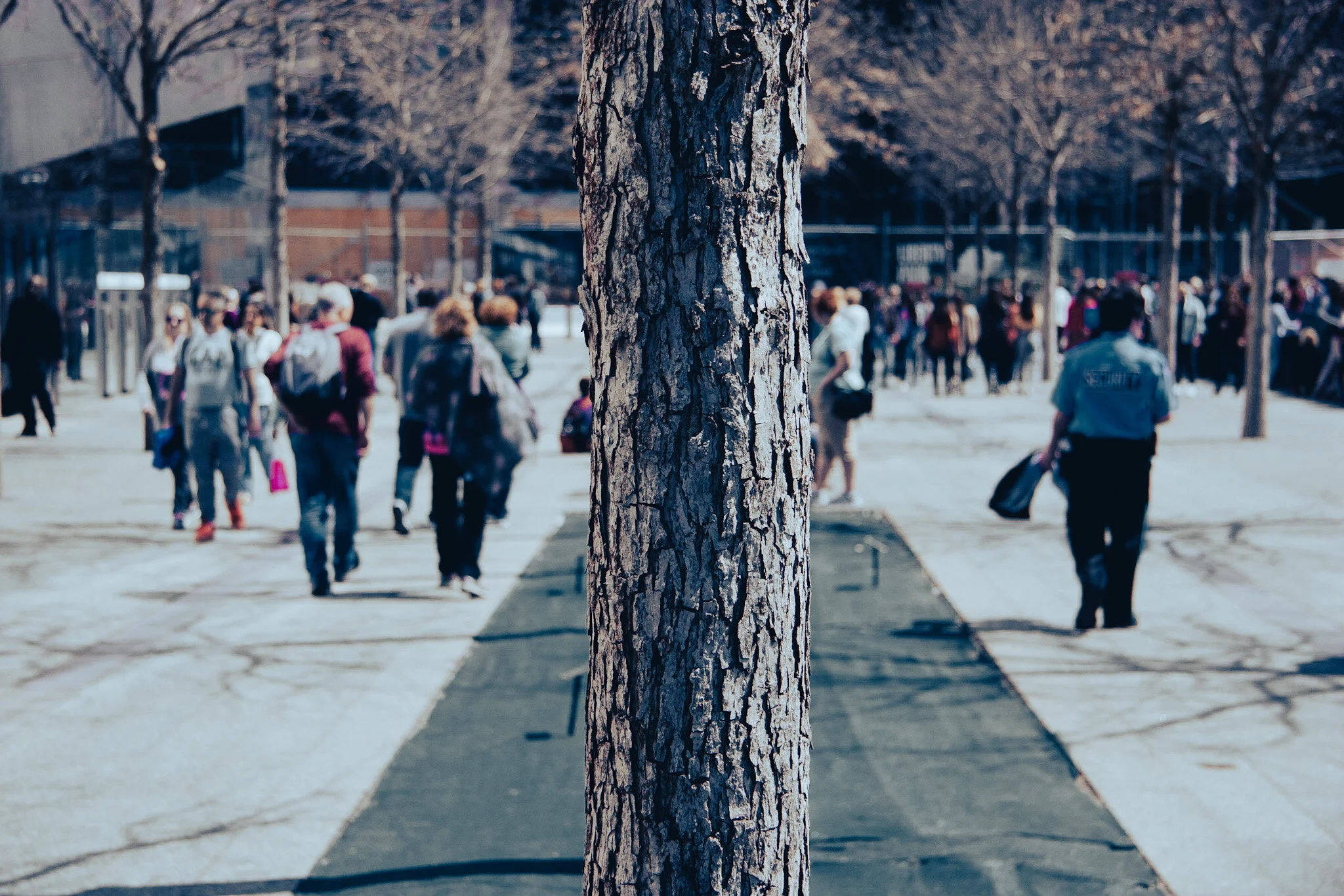 Can We All Get Along?