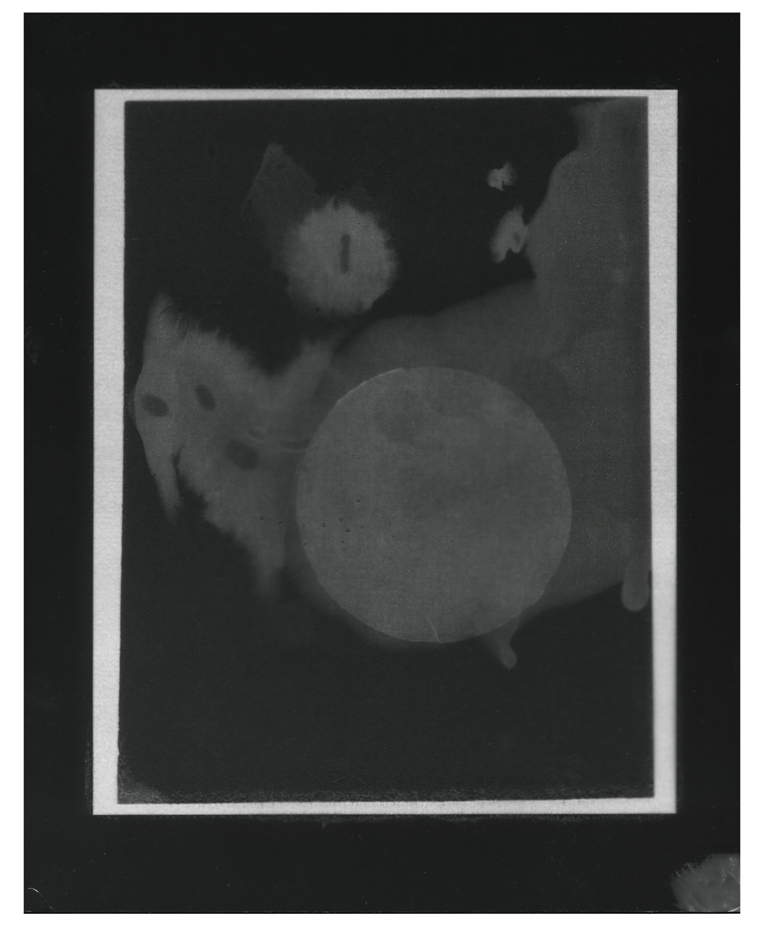 Circle_contact_print_2025_print copy 2.jpg
