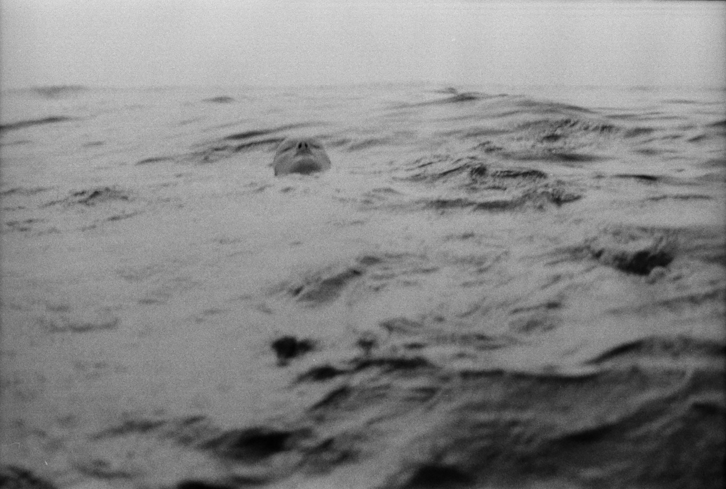 Lexie_beach_35_a 9.jpg