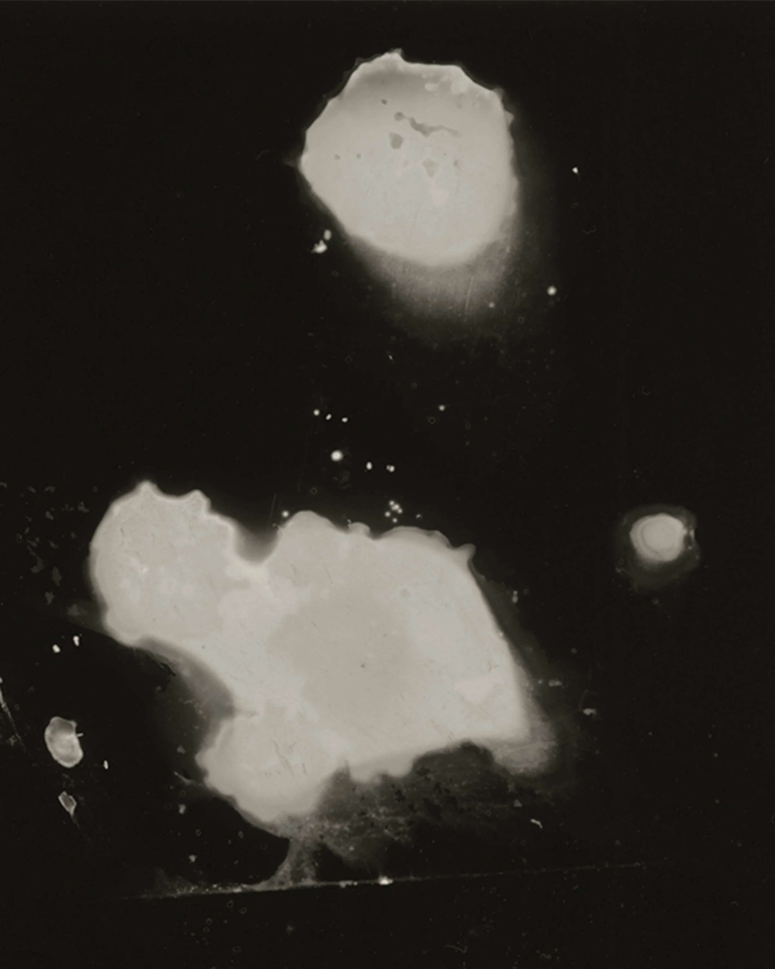 splotch_contact_print_ 3 copy.jpg