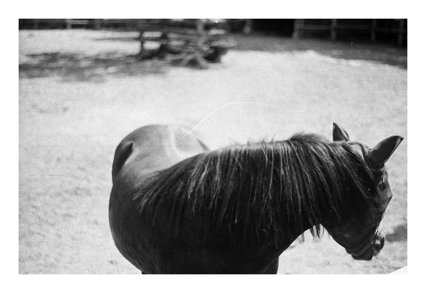 ©roeg_cohen_RHL_End_of_memory_4 copy.jpg