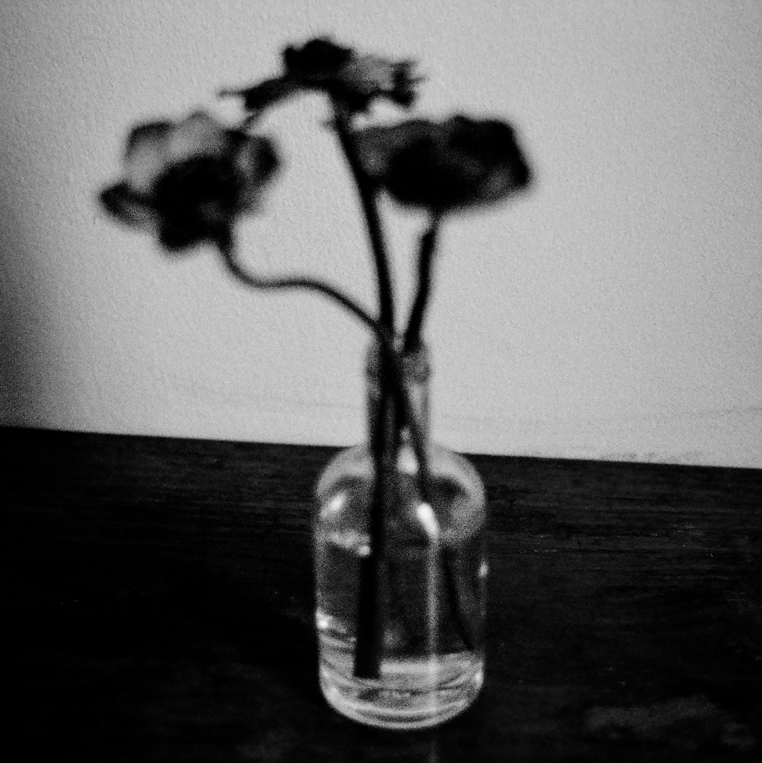 Roeg_Tanaka_Collab_Flower_Tanaka_2026.jpg