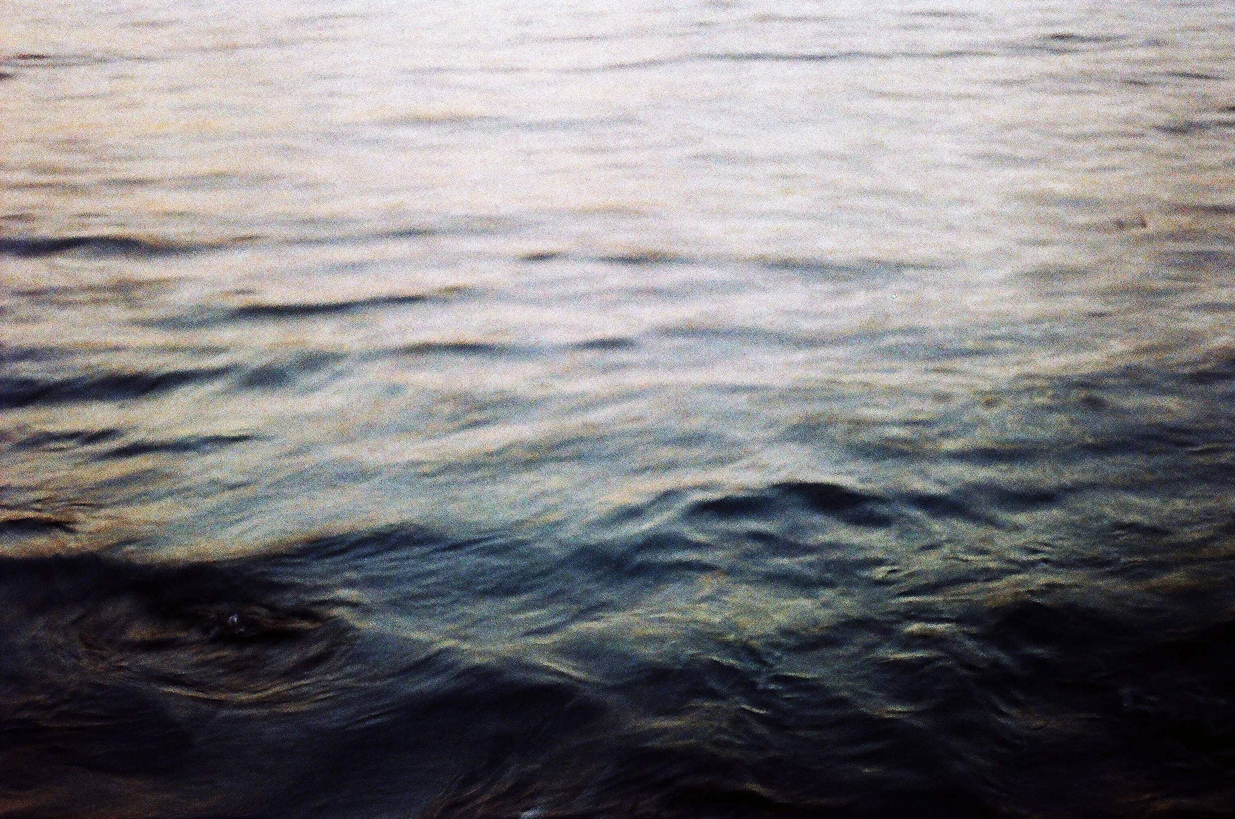 Roeg_Tanaka_Collab_Water_2026.jpg