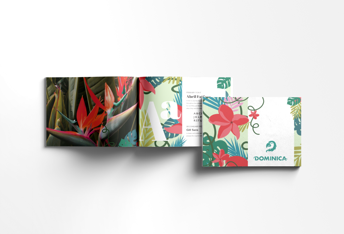 D_booklet2.png