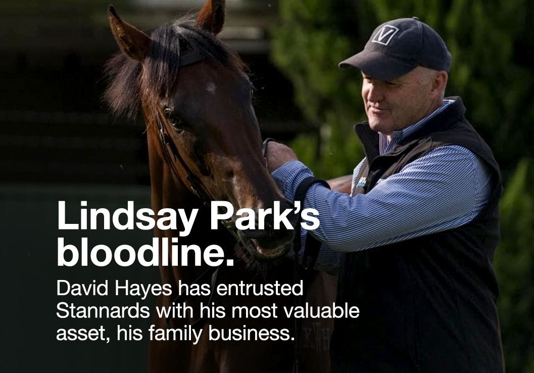 LindsayPark.png