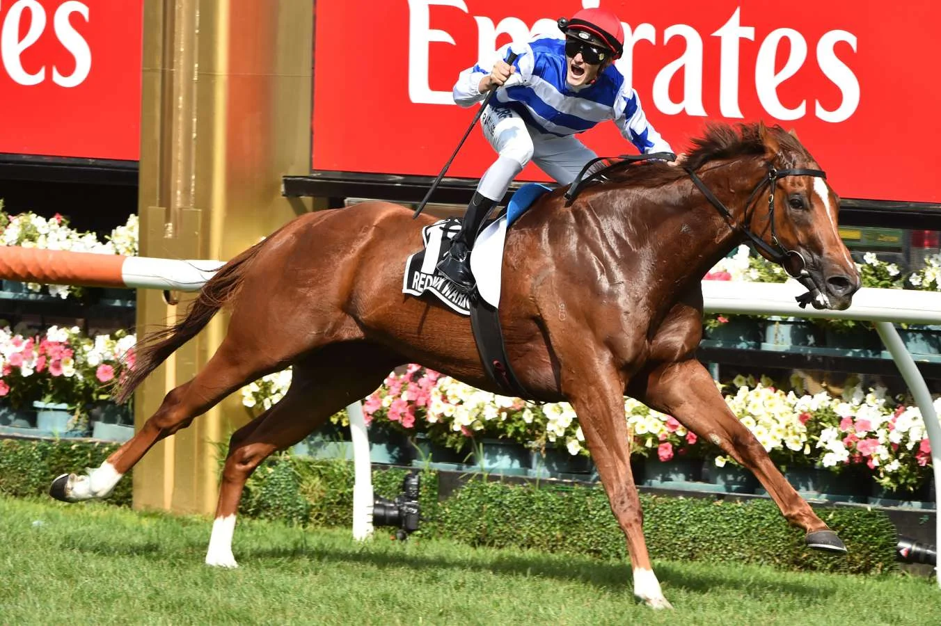 Redkirk Warrior at Flemington.
