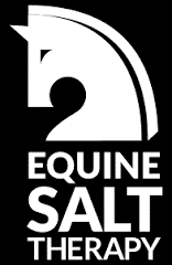 equine-salt-therapy.png