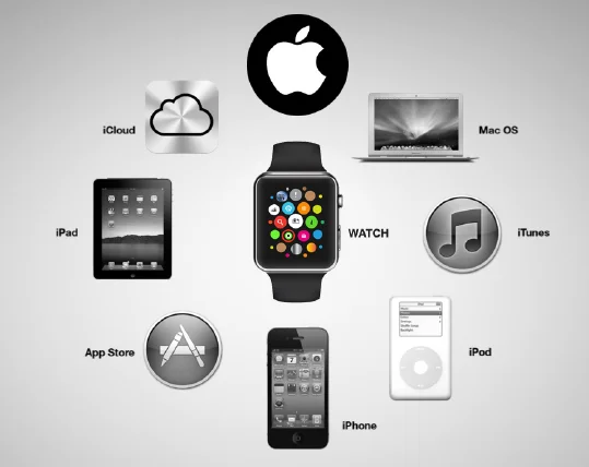 Apple leads the way with their App store however it is a closed eco-system only accessible for those with Apple devices.