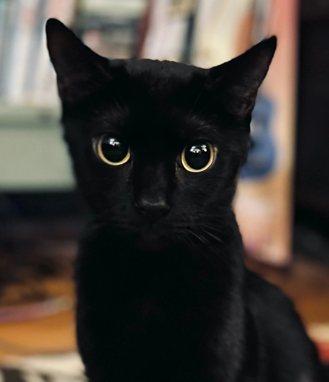 All Photos - 1 of 1 (2).jpeg