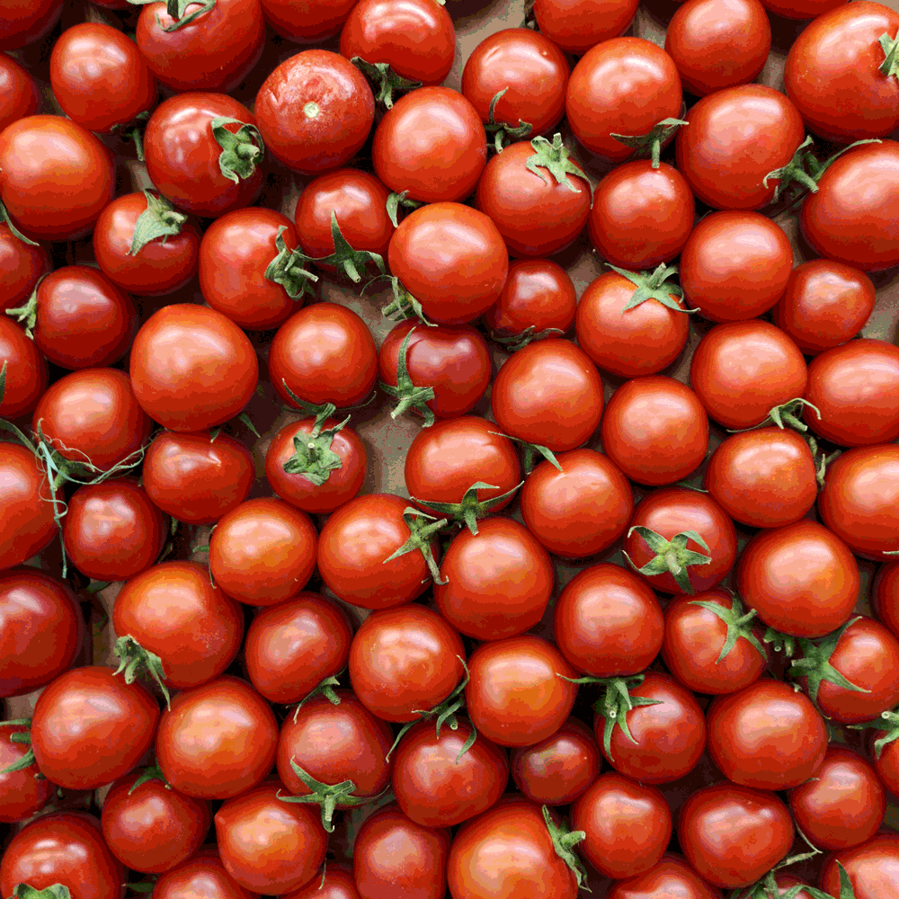 Up your wellness game with this amazing nutrient!