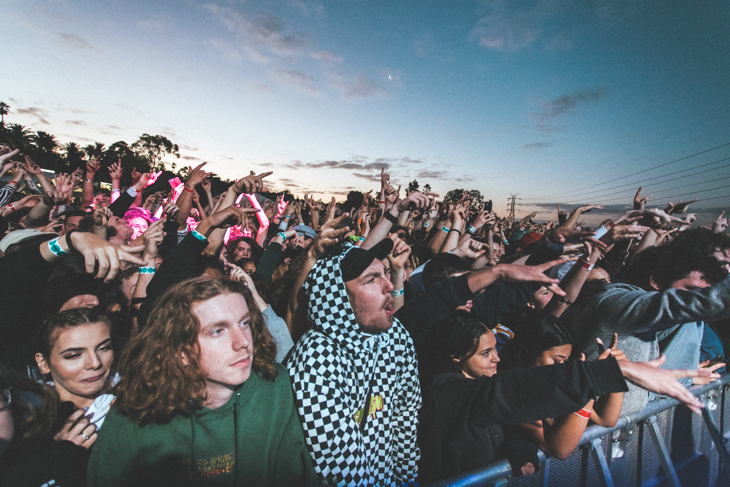 Crowds_Laneway2019-0357.jpg