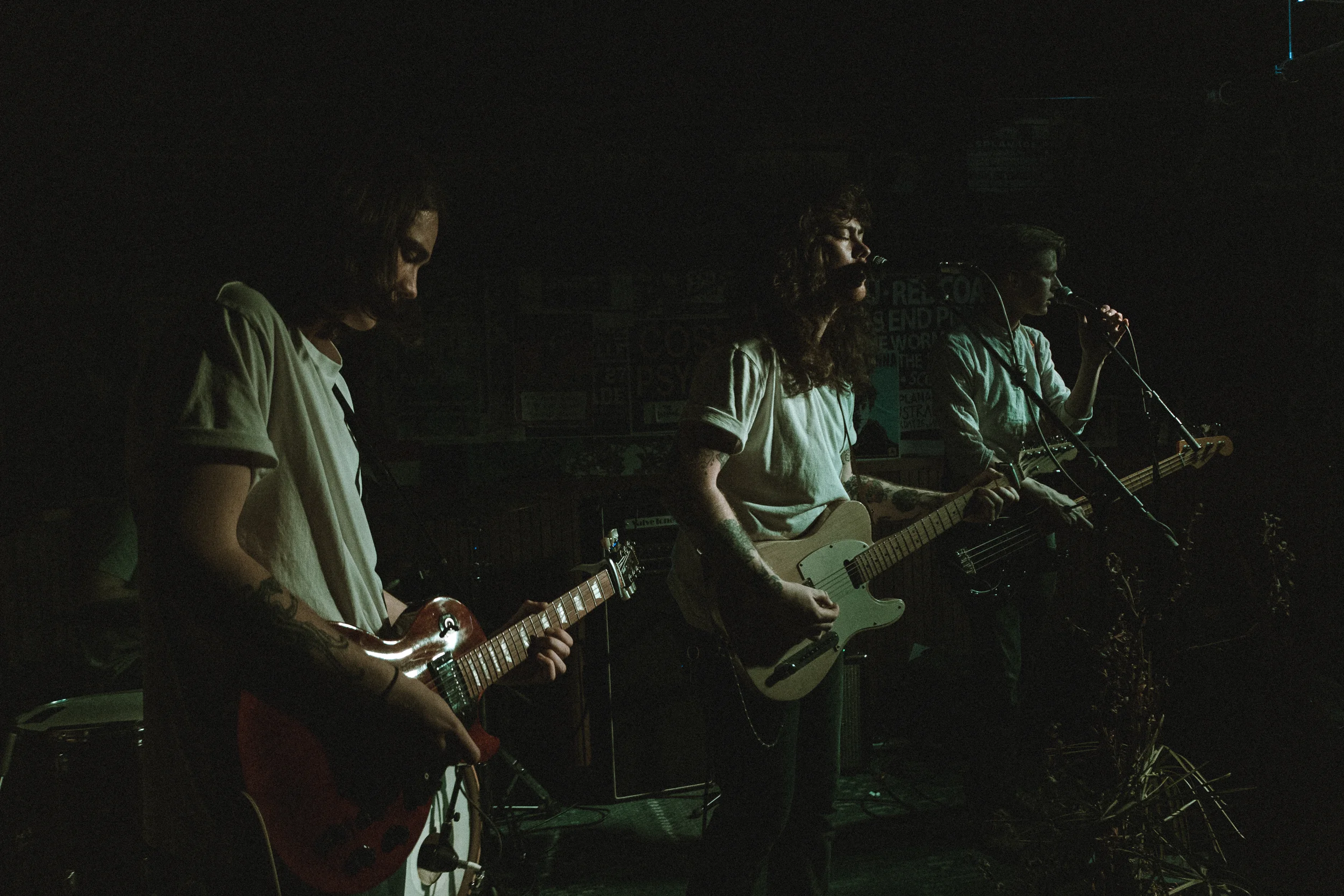 Rosella_TheEspy_30-08-19-9.jpg