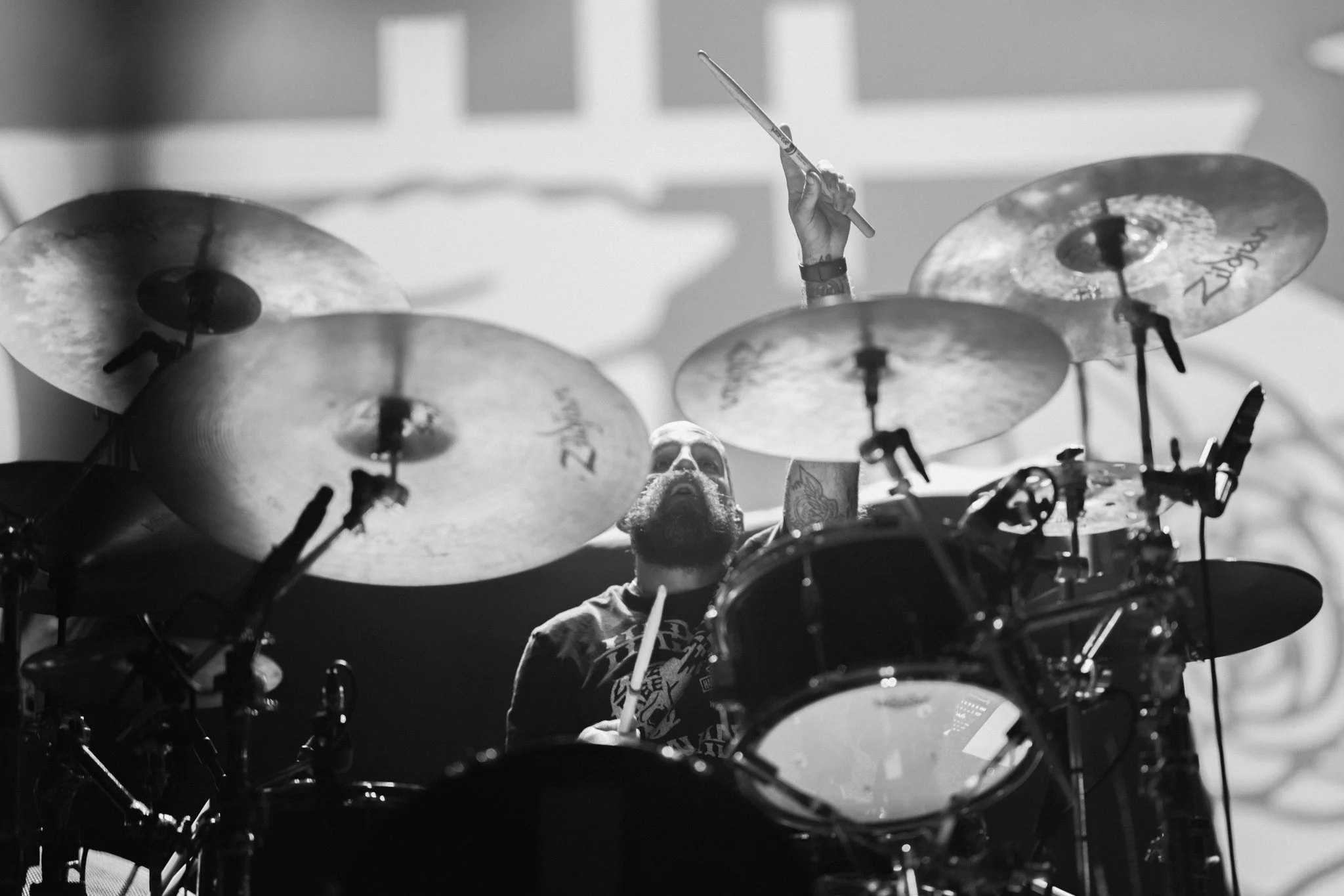 TDWP-18.jpg