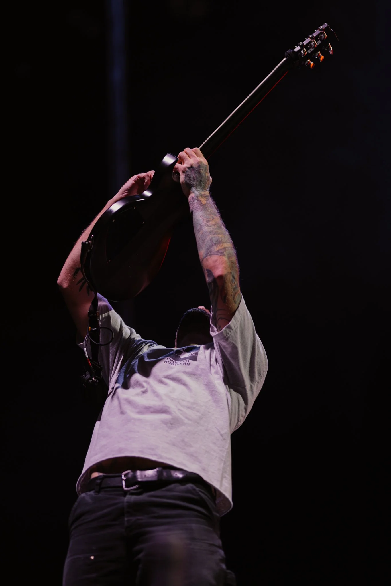 TDWP-8.jpg