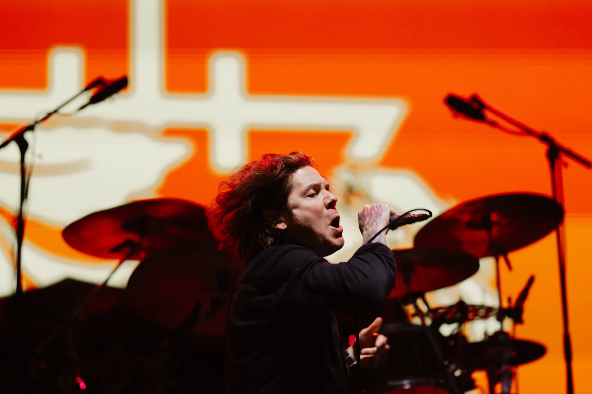 TDWP-5.jpg