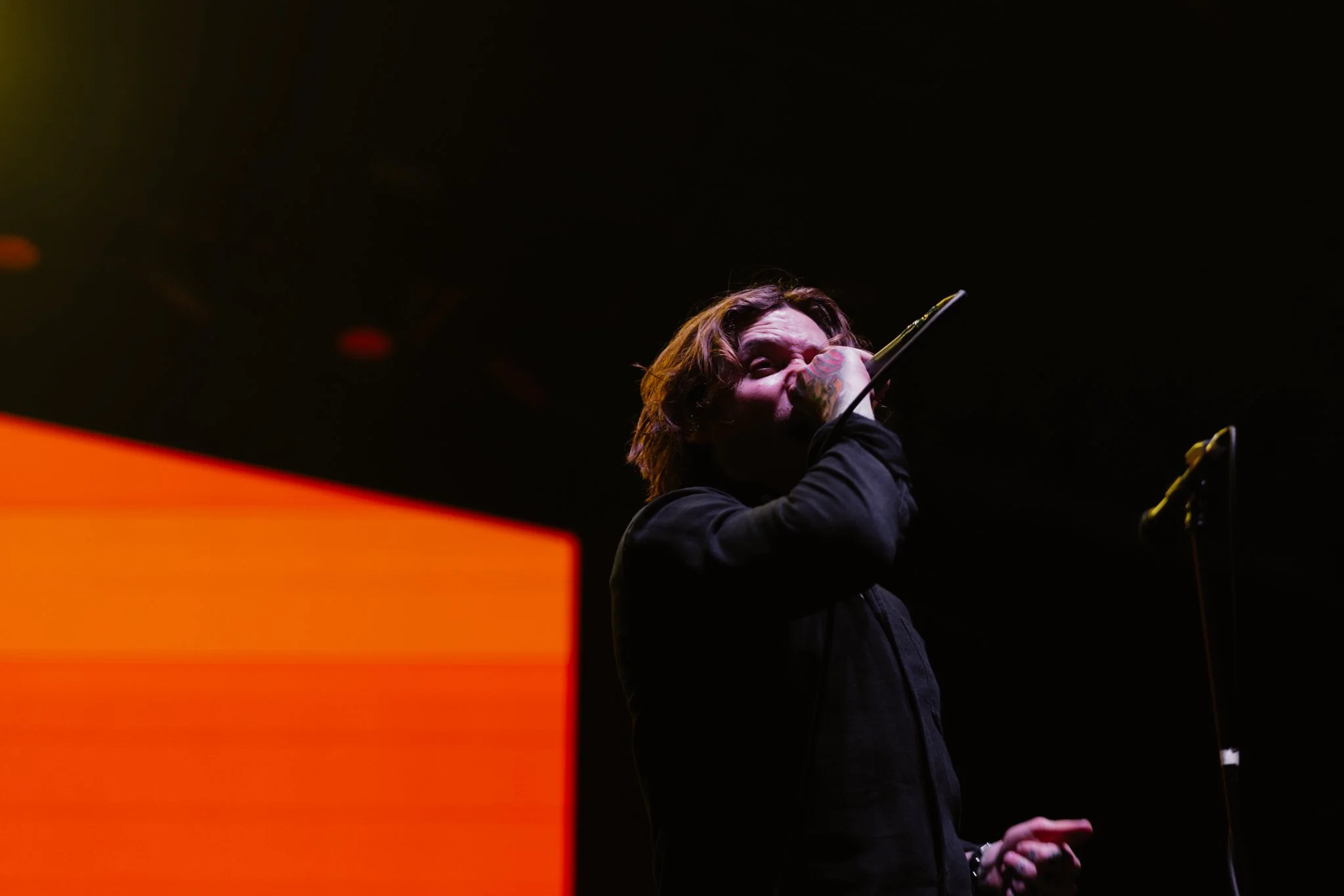 TDWP-9.jpg