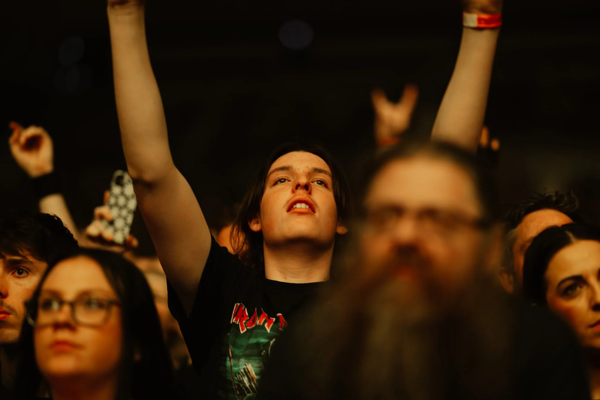TDWP-11.jpg