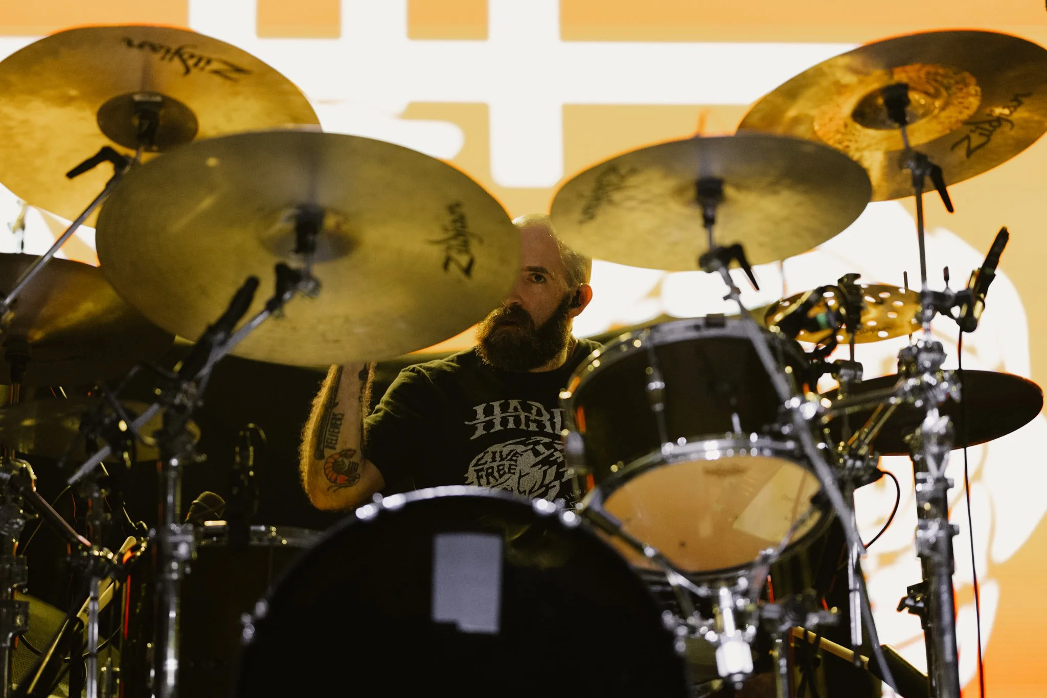 TDWP-12.jpg