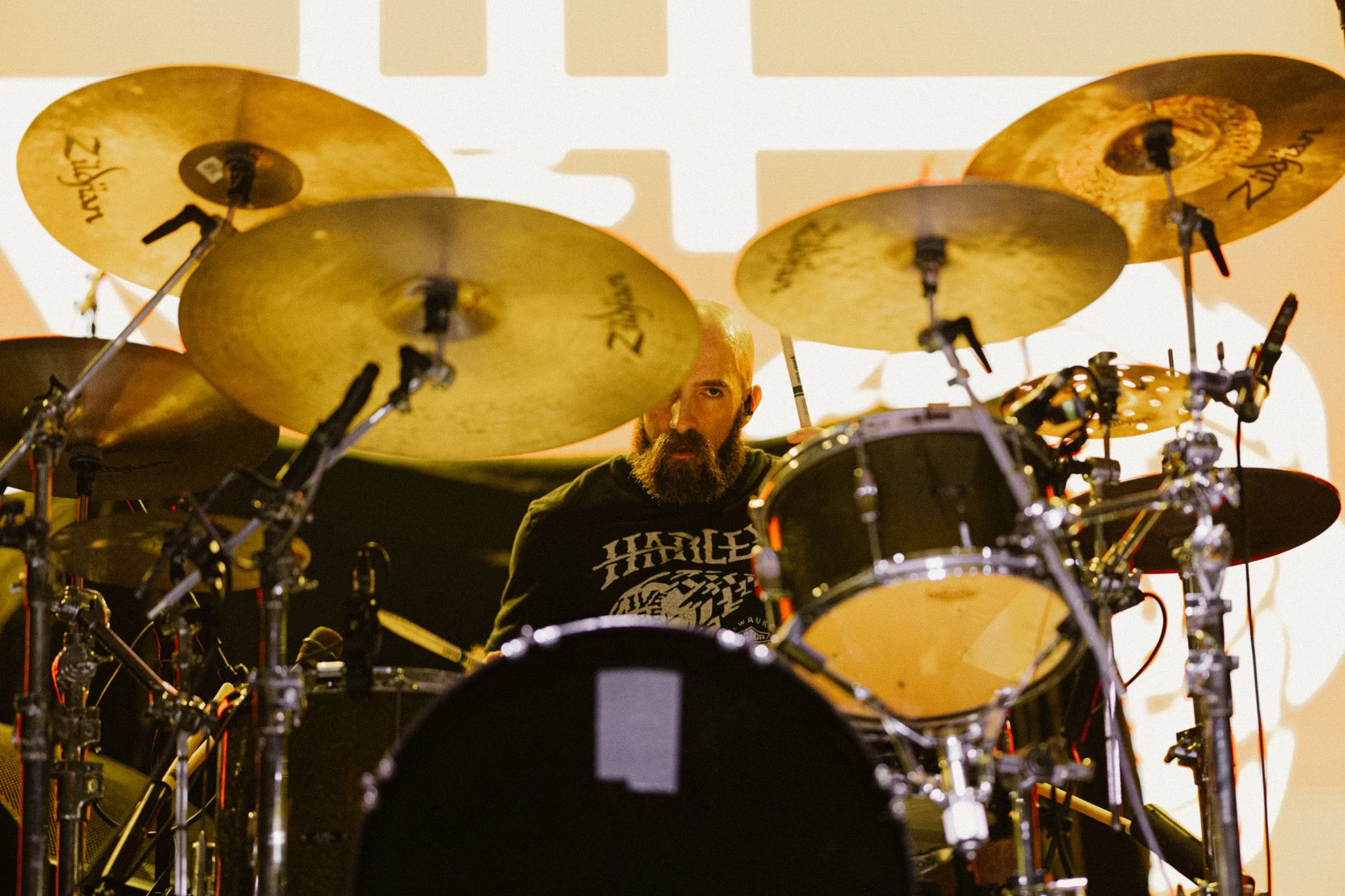 TDWP-14.jpg