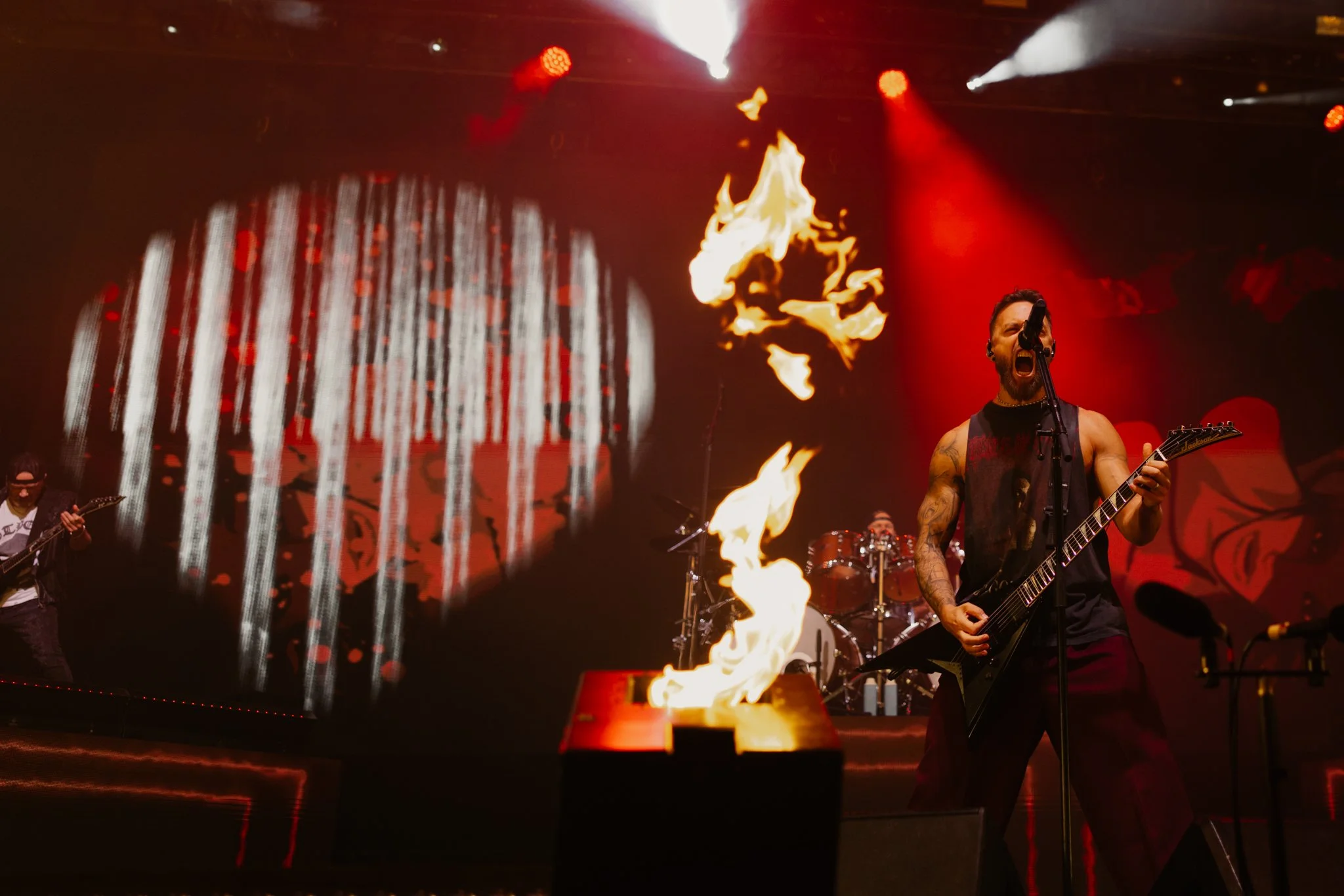 bfmv-2.jpg
