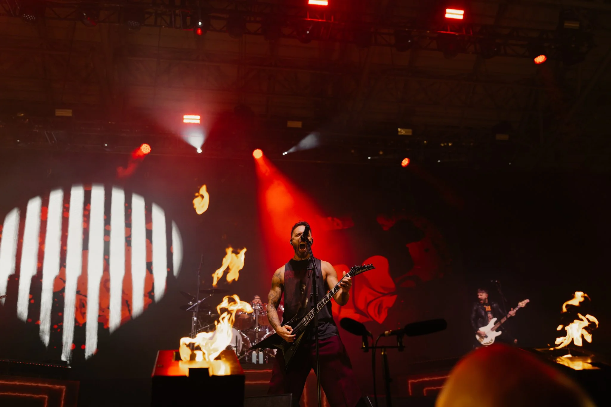 bfmv-3.jpg