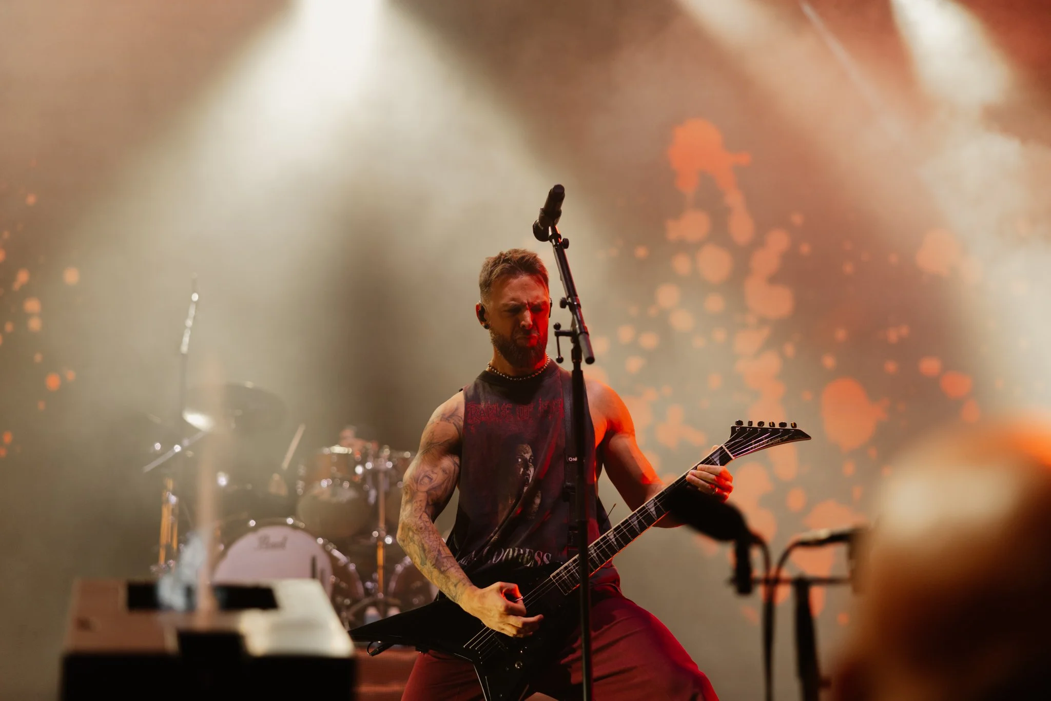 bfmv-4.jpg