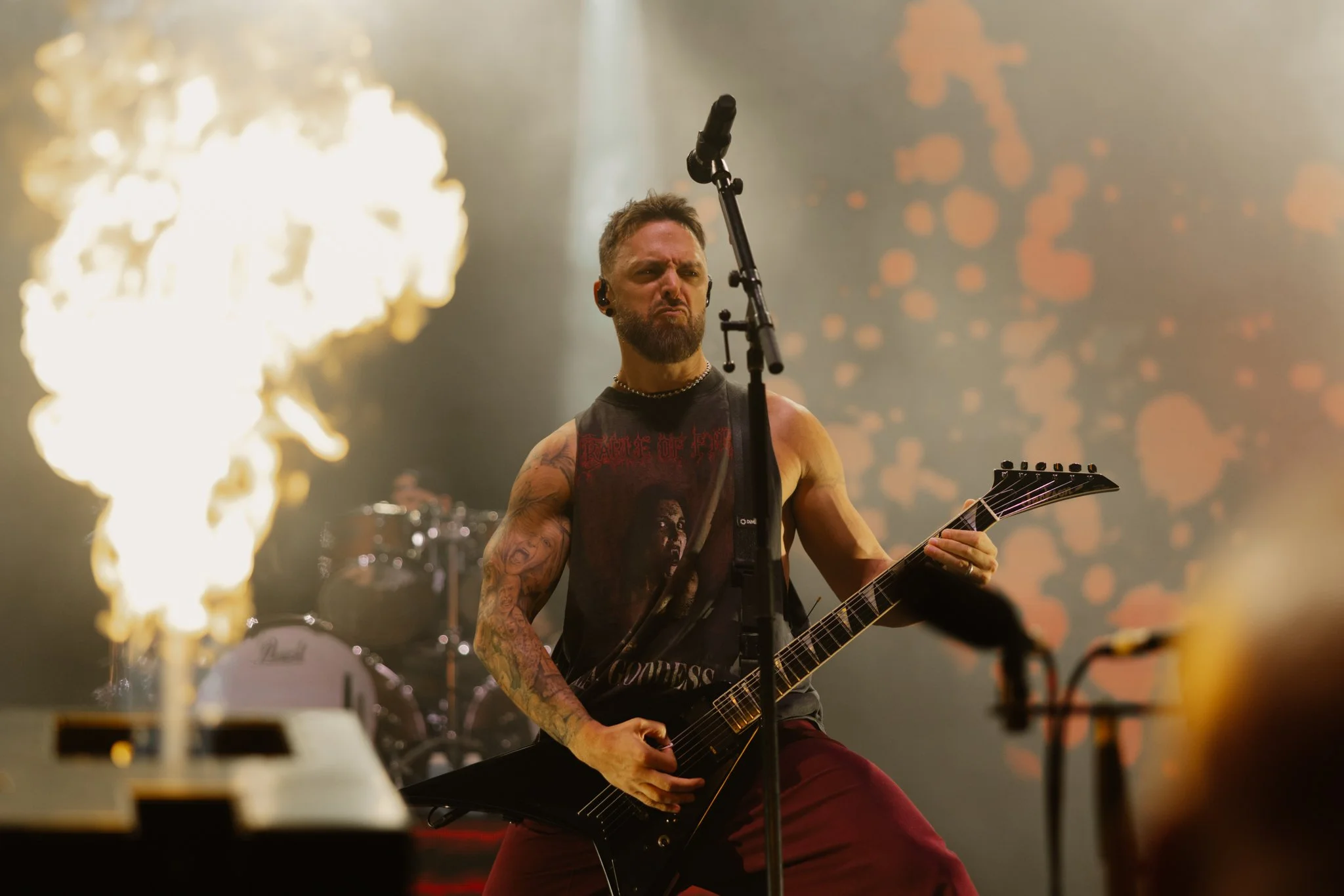 bfmv-5.jpg