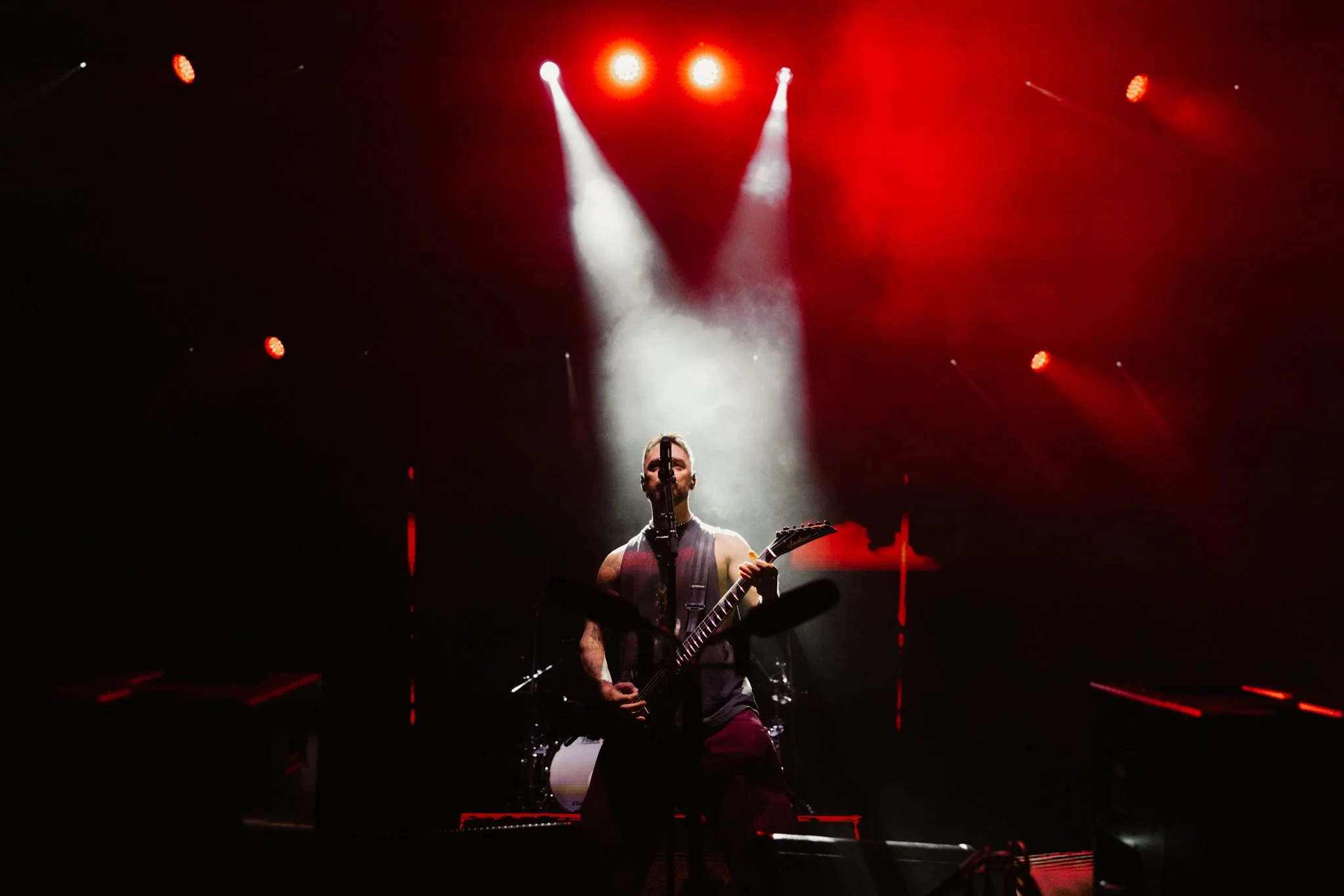 bfmv-6.jpg