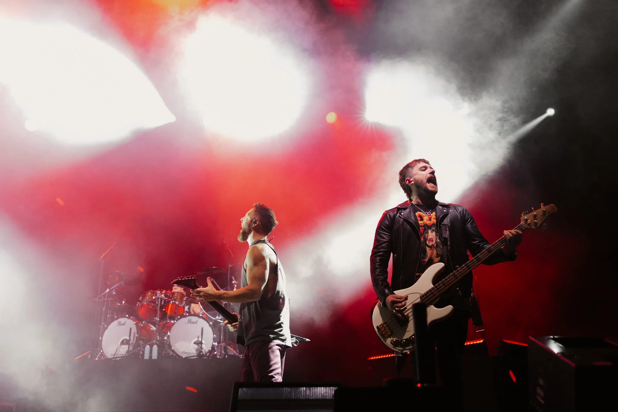 bfmv-11.jpg
