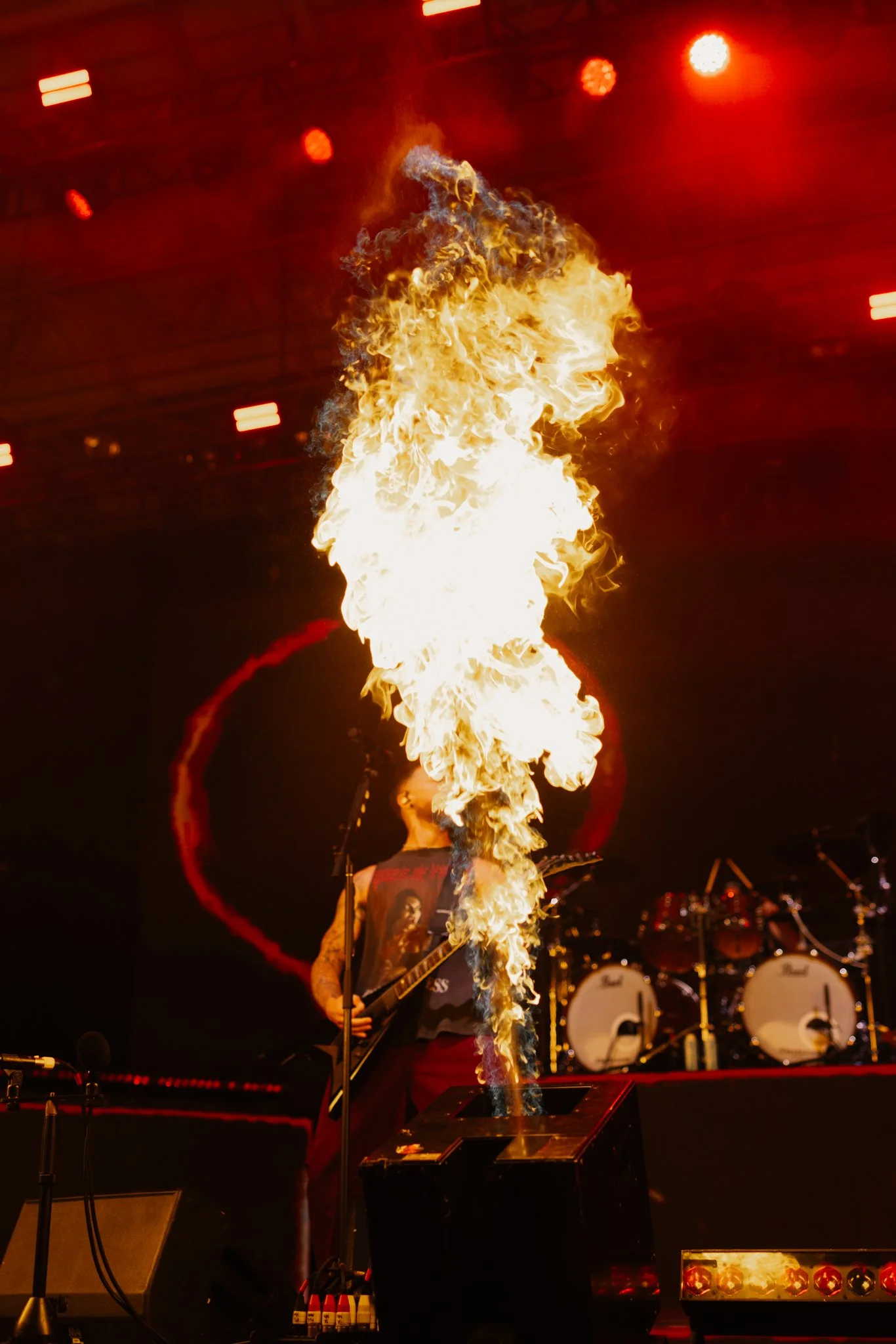 bfmv-12.jpg