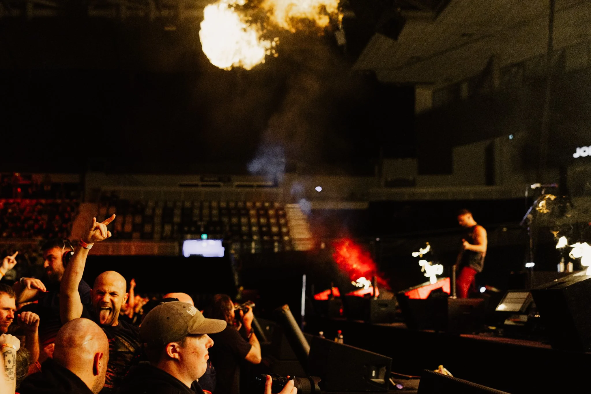 bfmv-14.jpg