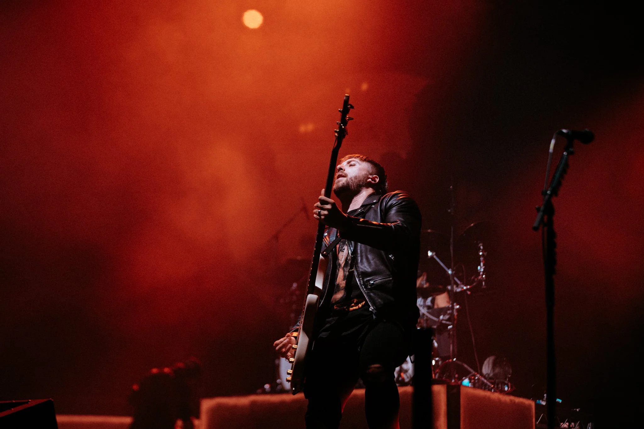 bfmv-15.jpg